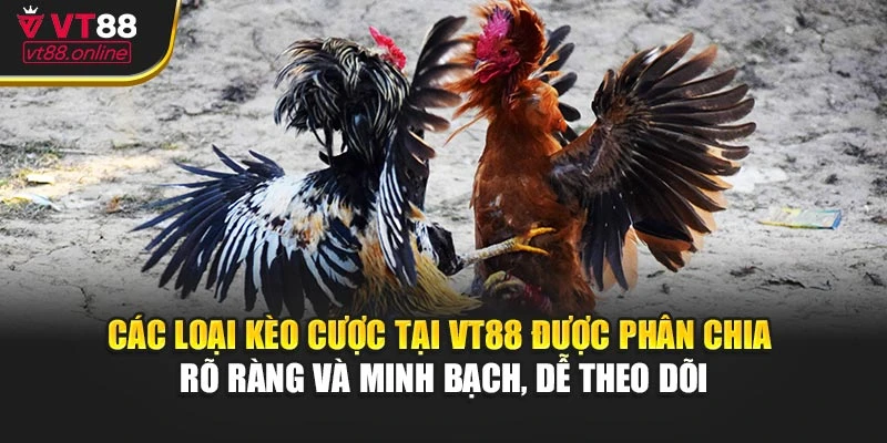 Các loại kèo cược tại VT88 được phân chia rõ ràng và minh bạch, dễ theo dõi