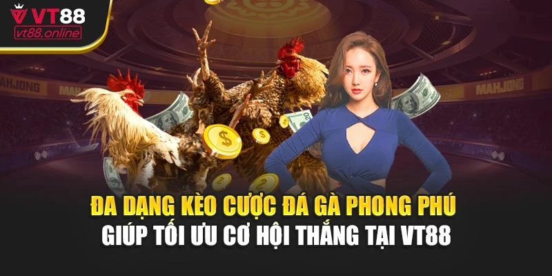 Đa dạng kèo cược đá gà phong phú giúp tối ưu cơ hội thắng tại VT88