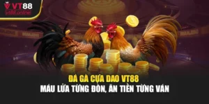 Đá Gà Cựa Dao VT88 - Máu Lửa Từng Đòn, Ăn Tiền Từng Ván