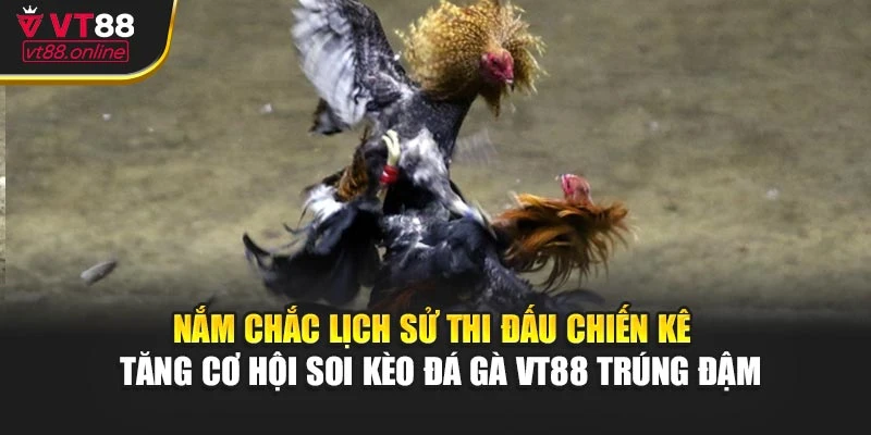 Nắm chắc lịch sử thi đấu chiến kê – Tăng cơ hội soi kèo đá gà VT88 trúng đậm
