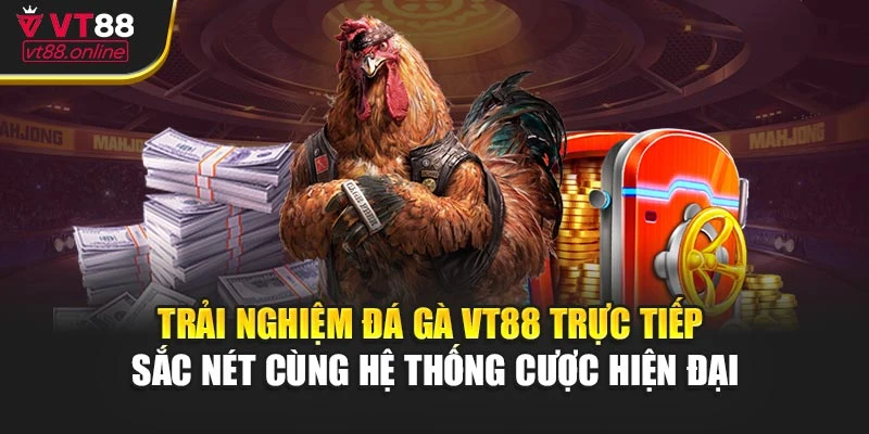 Trải nghiệm đá gà VT88 trực tiếp sắc nét cùng hệ thống cược hiện đại