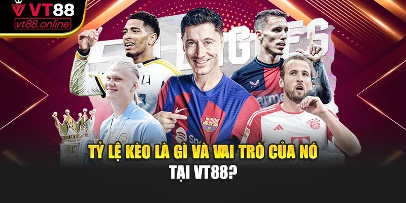 Tỷ lệ kèo là gì và vai trò của nó tại VT88